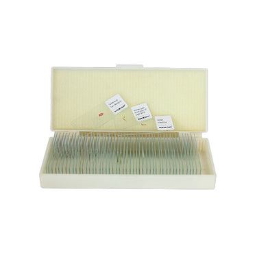 Saxon Plants Biological Microscope Prepared Slides (50pcs)